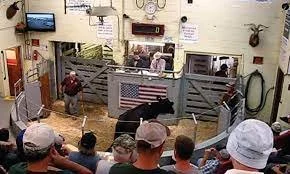 Allowing Sale Barns to Own Small Plants Makes Sense