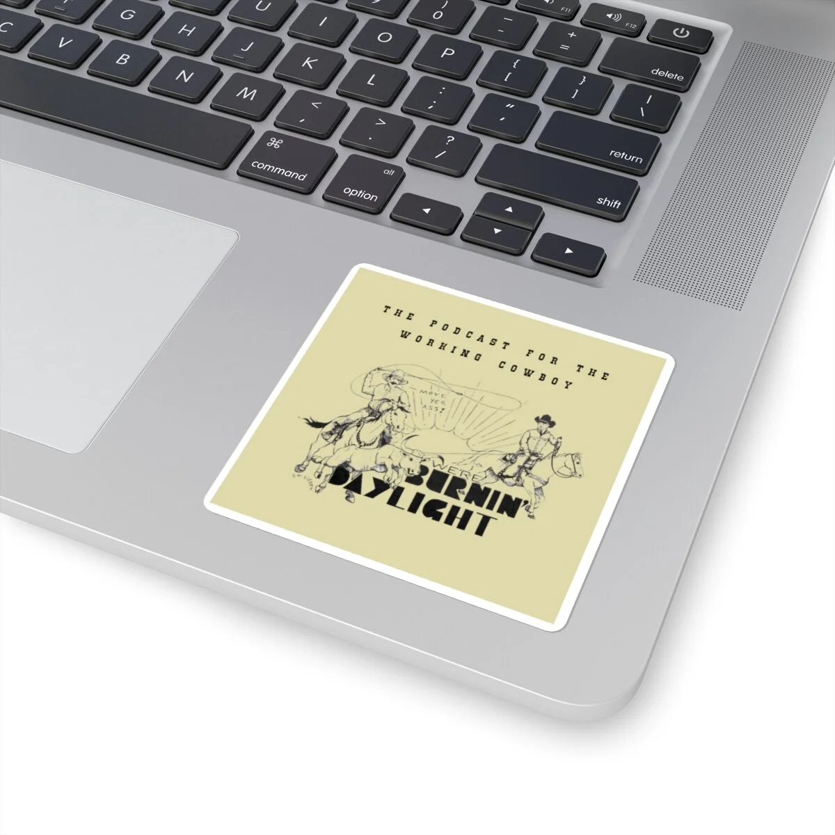 6e1941726ef5f8a25e41e15b17537334