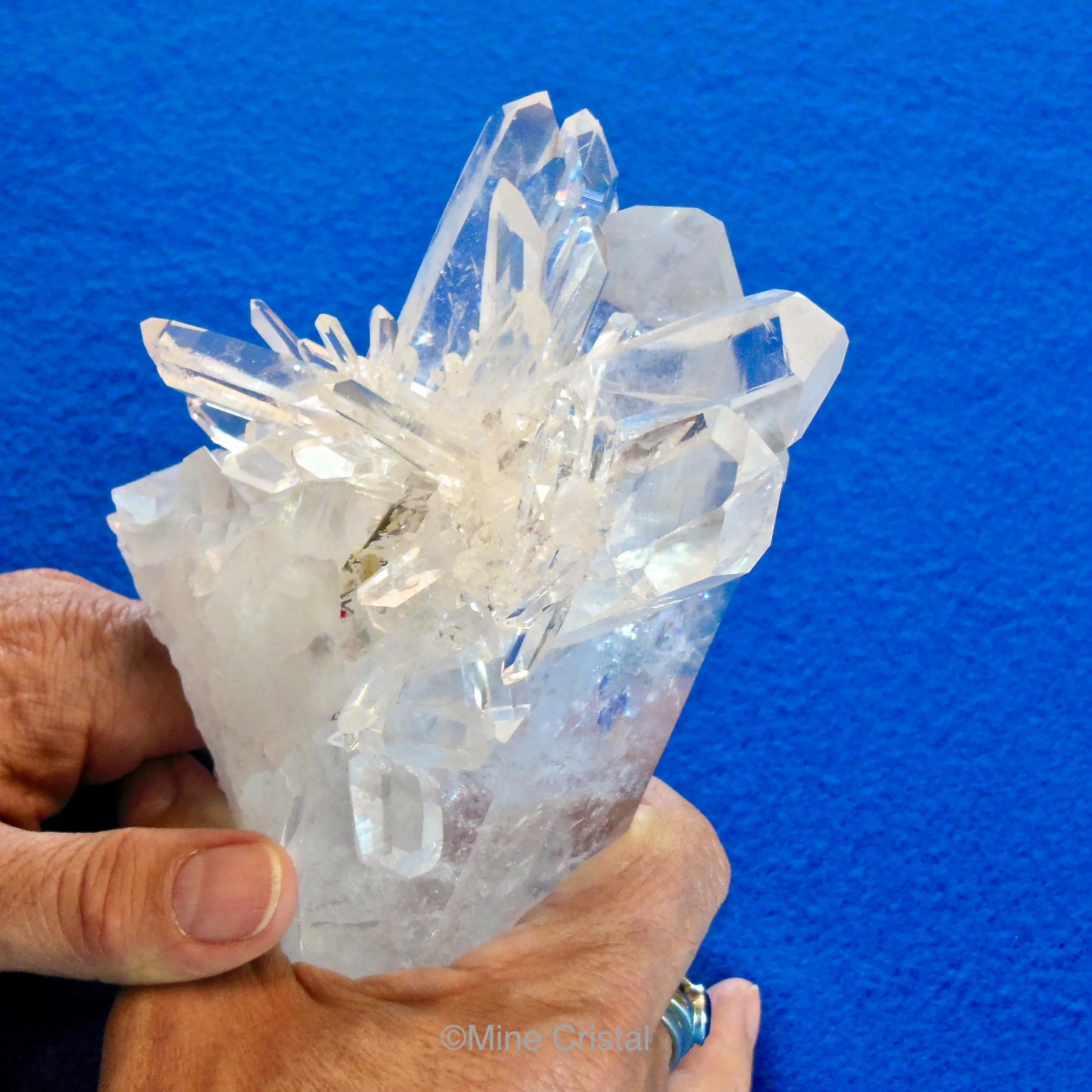 Crystal 2013.jpg