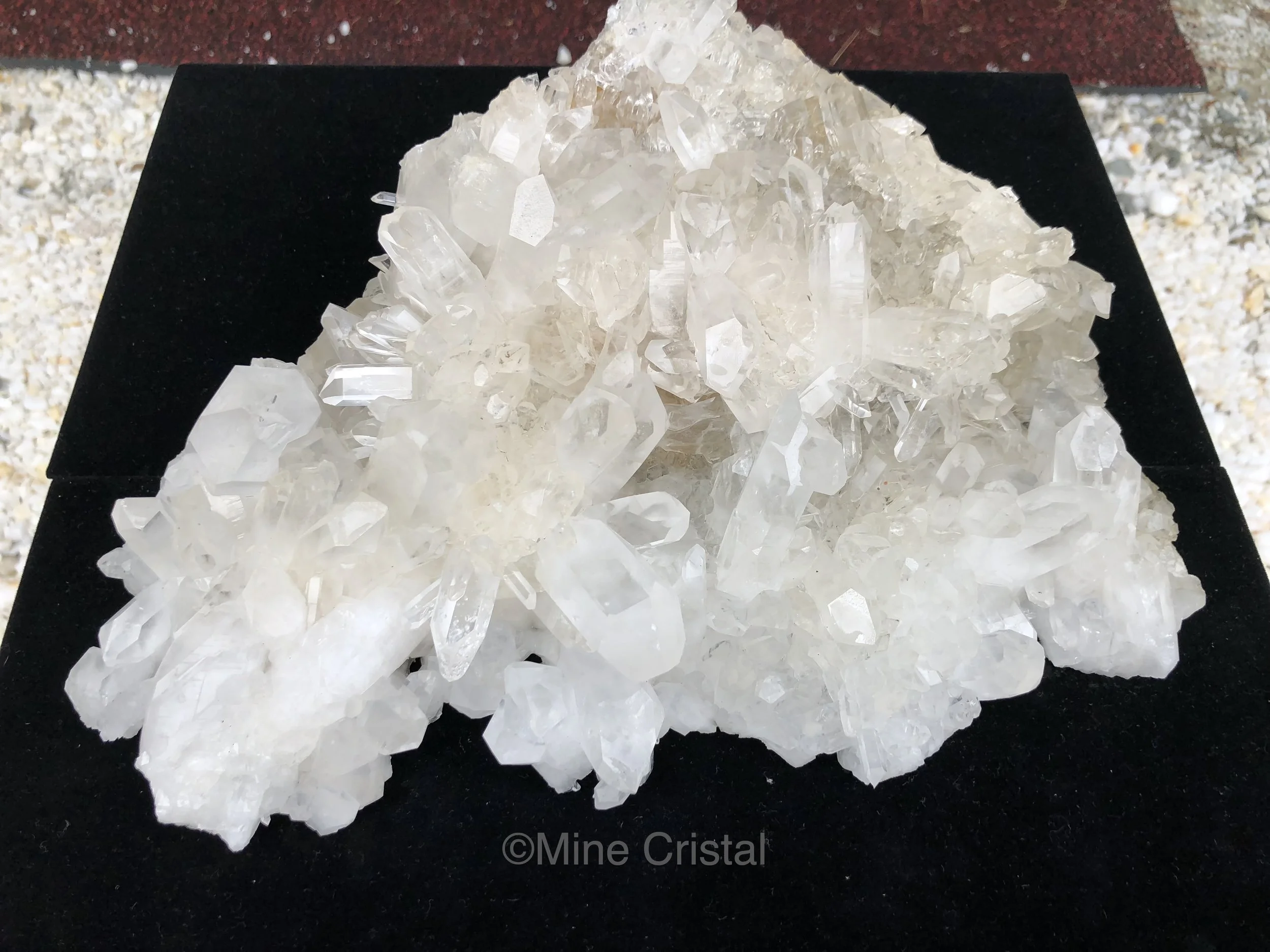 crystal 2018 2.jpg