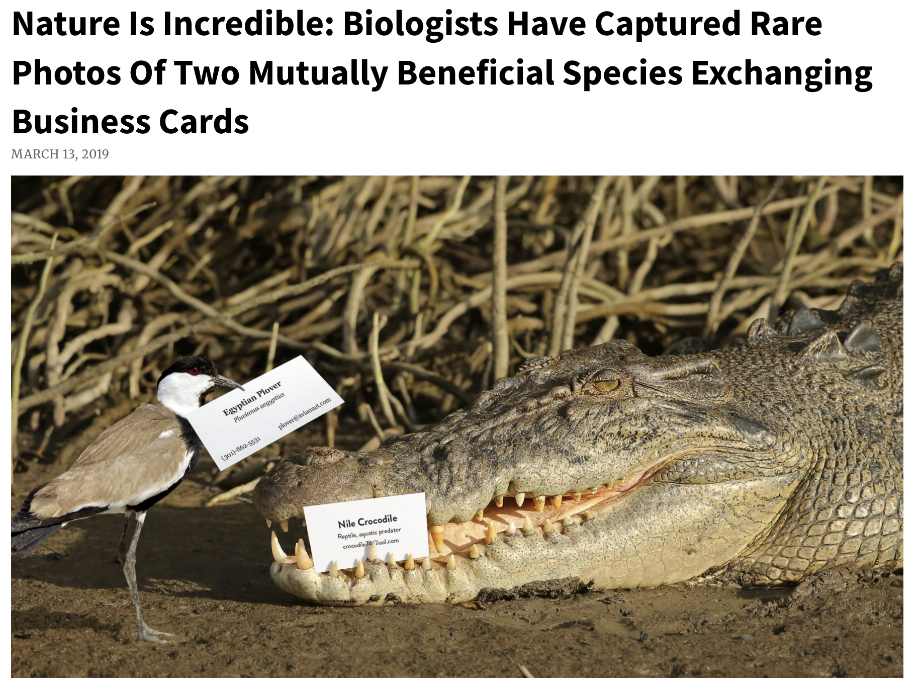 Screenshot 2025-11-22 at 12.35.51 PM.png