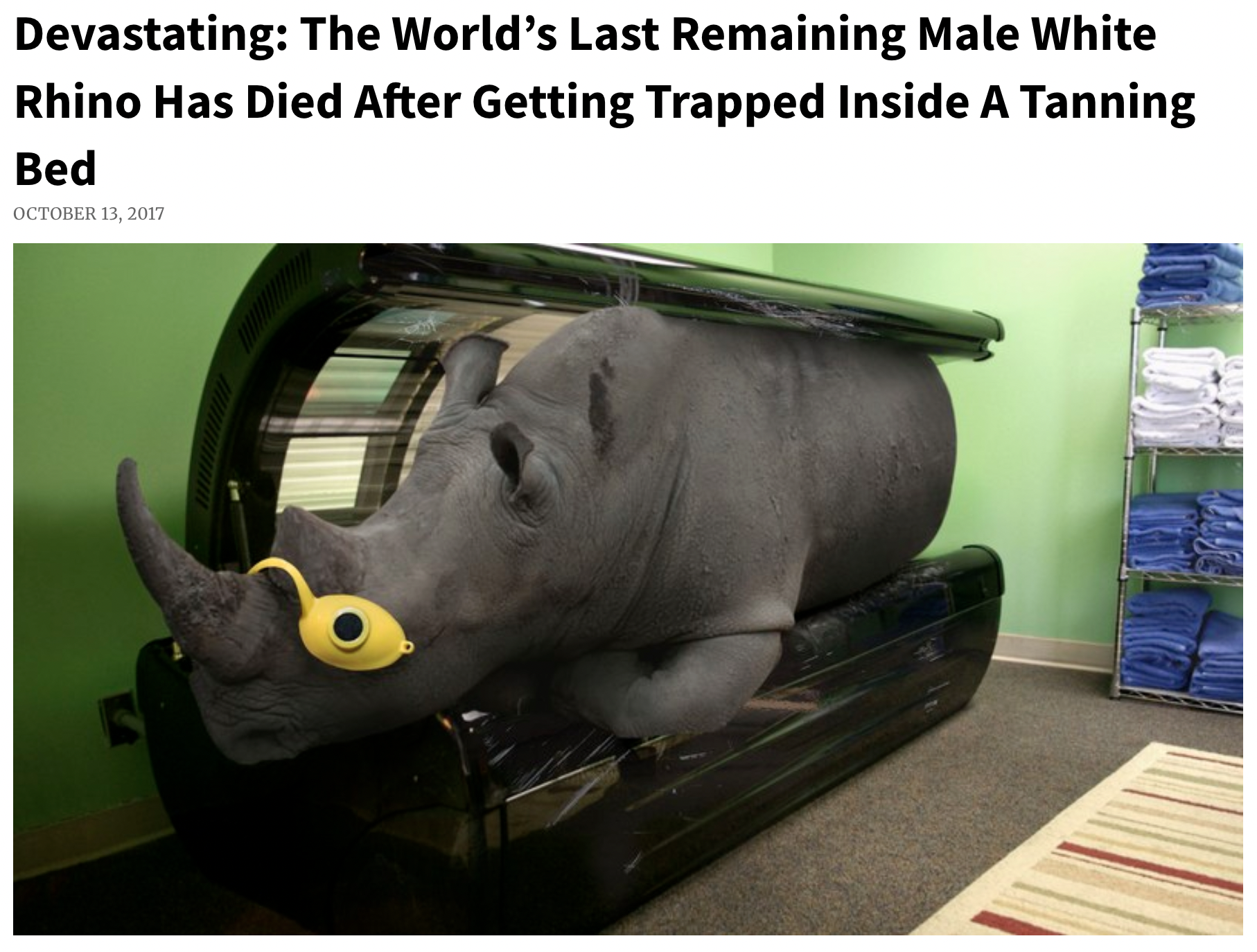 Screenshot 2025-11-22 at 1.01.14 PM.png