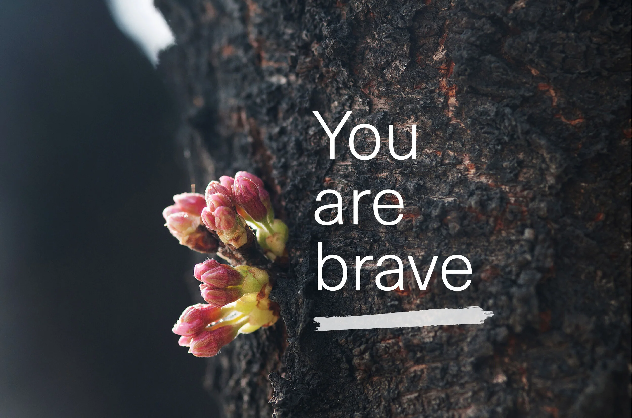 You Are Brave