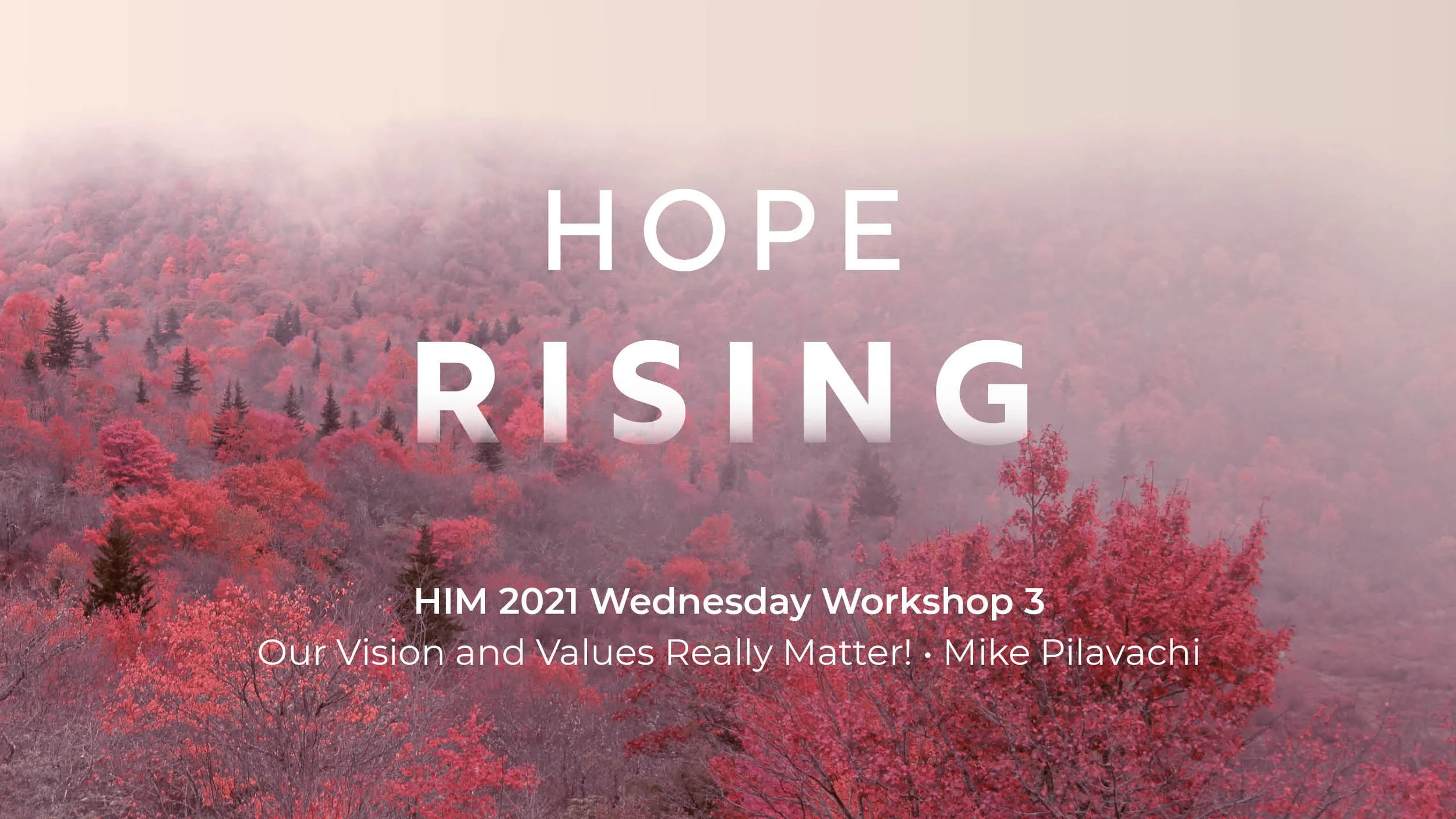 HIM 2021 Wednesday Workshop 3: Our Vision and Values Really Matter!