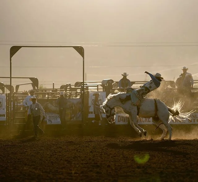 Missing the rodeo season :/