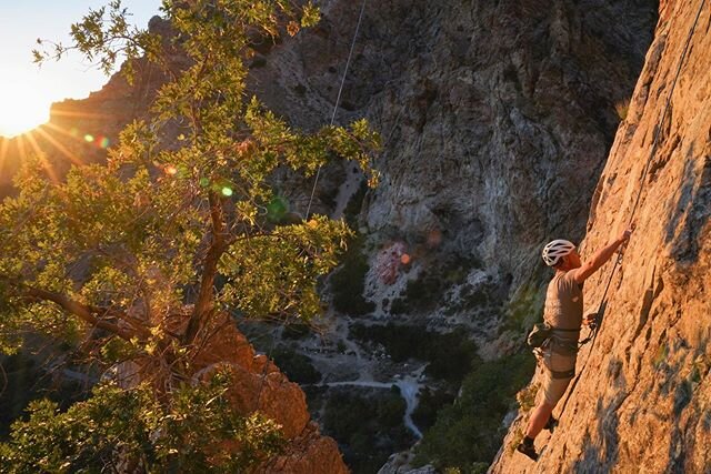 Always a fun time adventuring with the fam! @jeanroush @abbyraytrinca