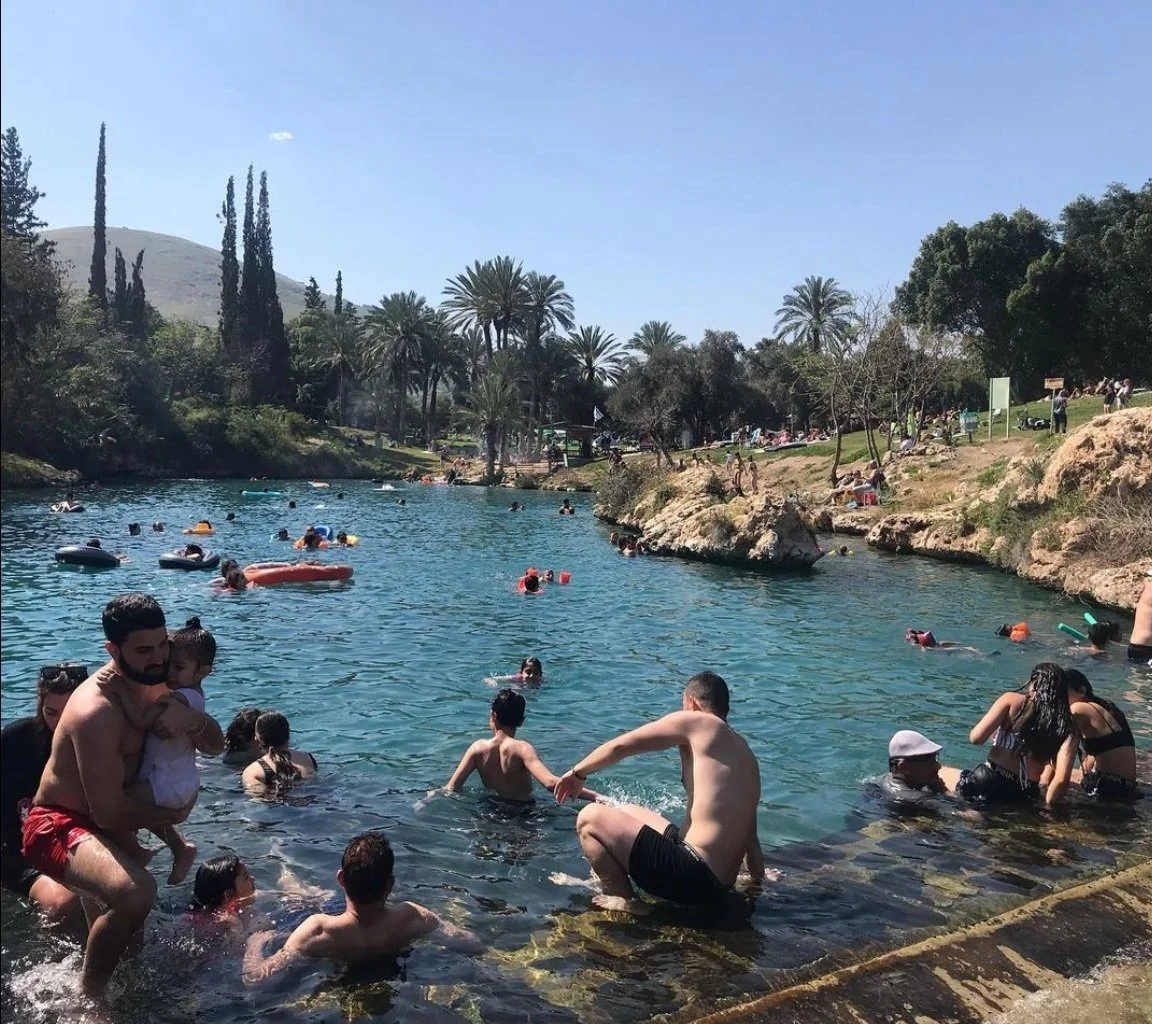 Sachne in Israel-Palestine, April 2020.