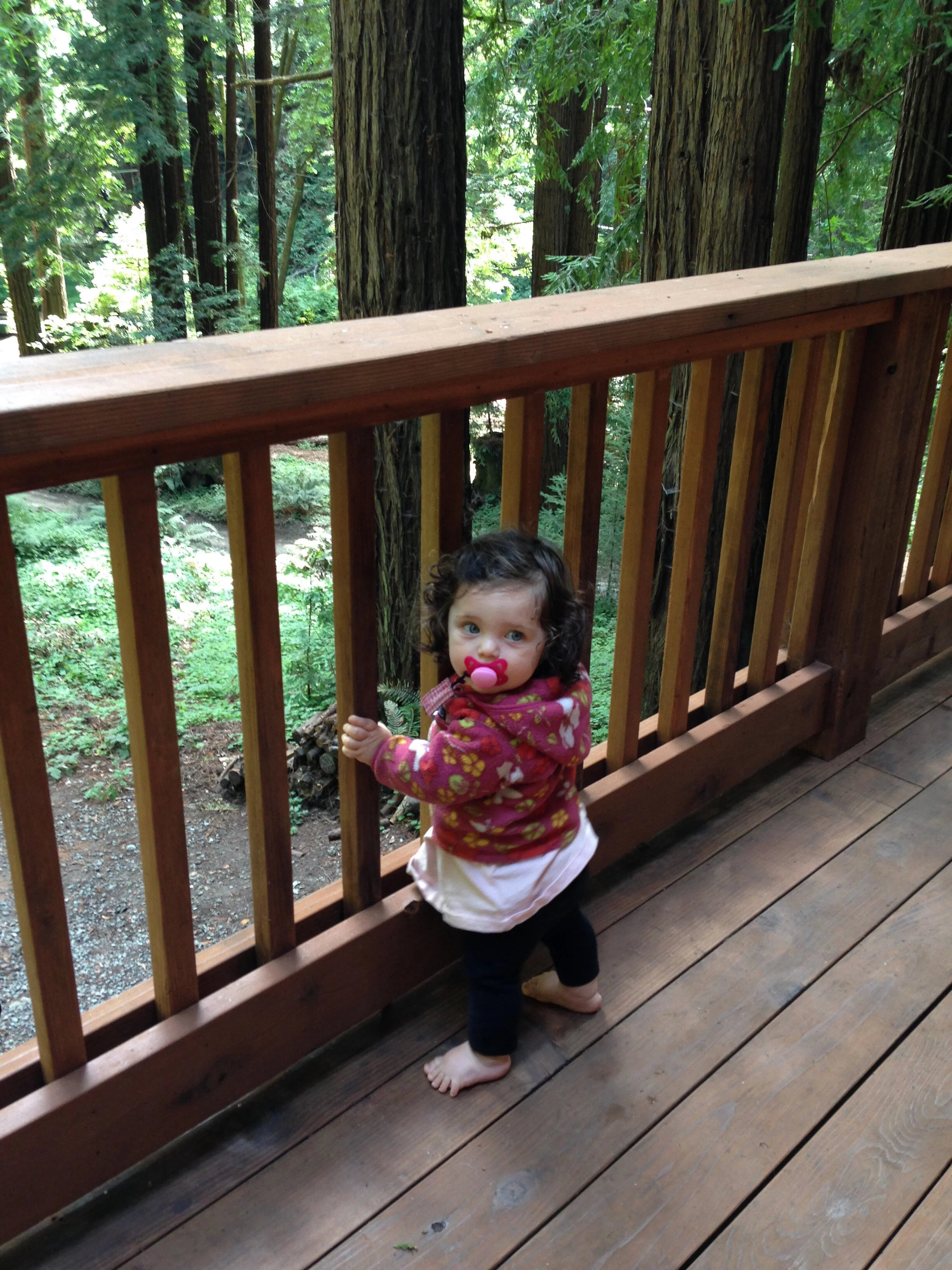here’s my daughter checking out the peaceful deck at our Airbnb in the redwoods