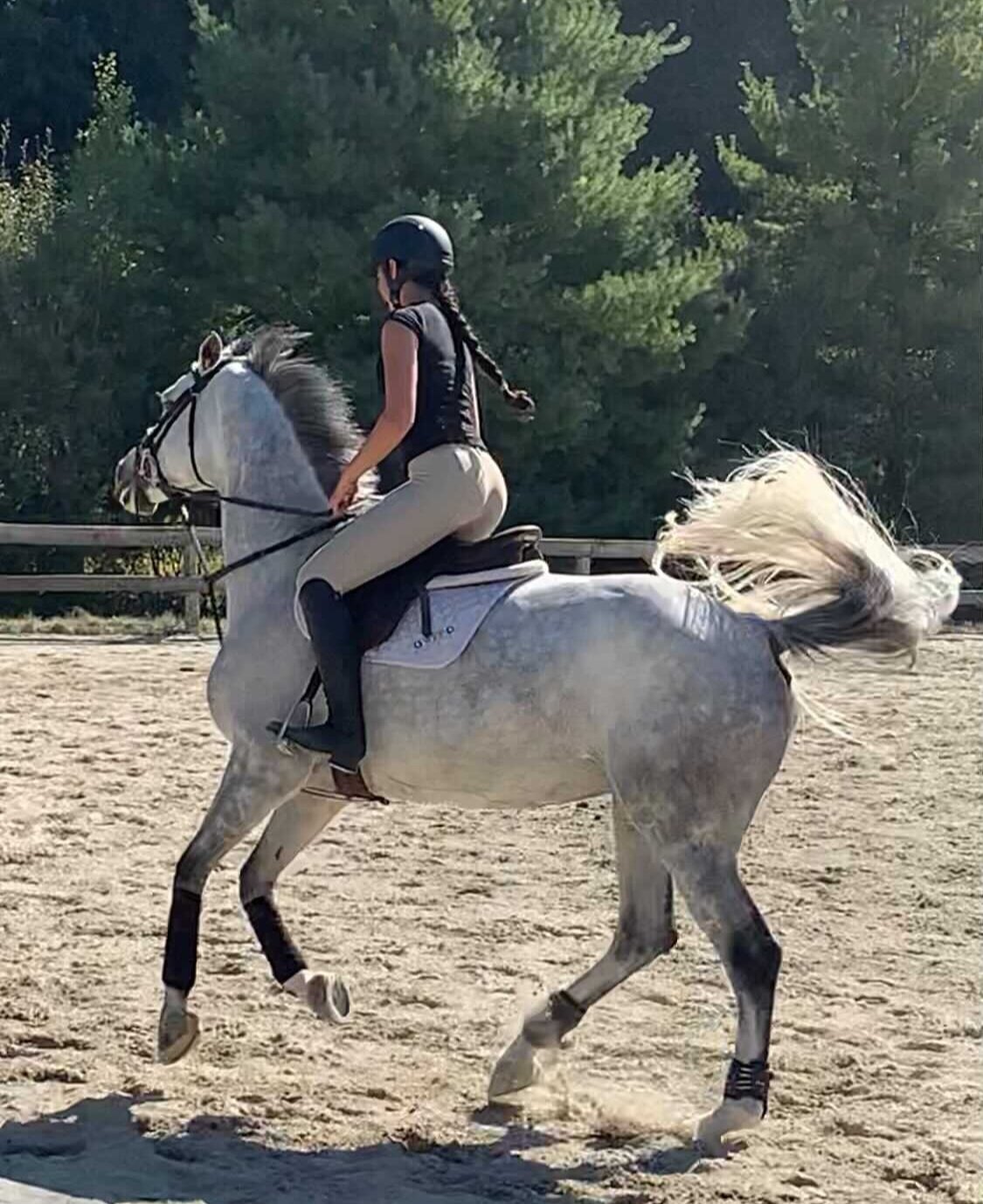  Riding Nina in the summer 