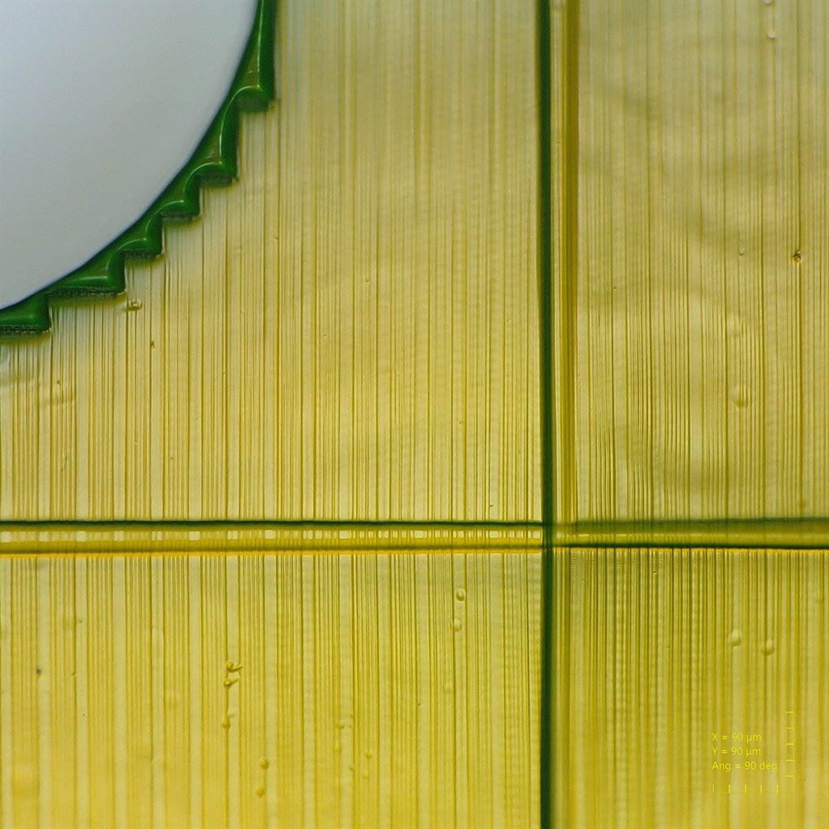 2 Photon Lithography Printing