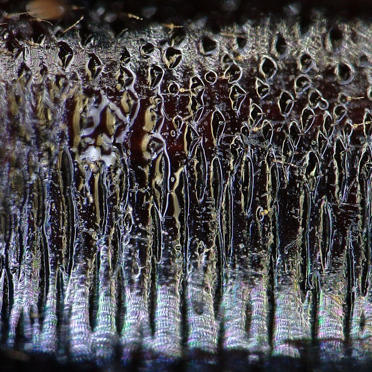 Optical Microscopy
