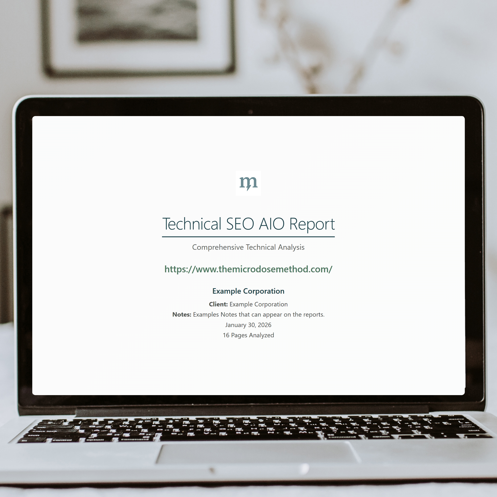 Technical-Report-of-SEO-audit-2.png