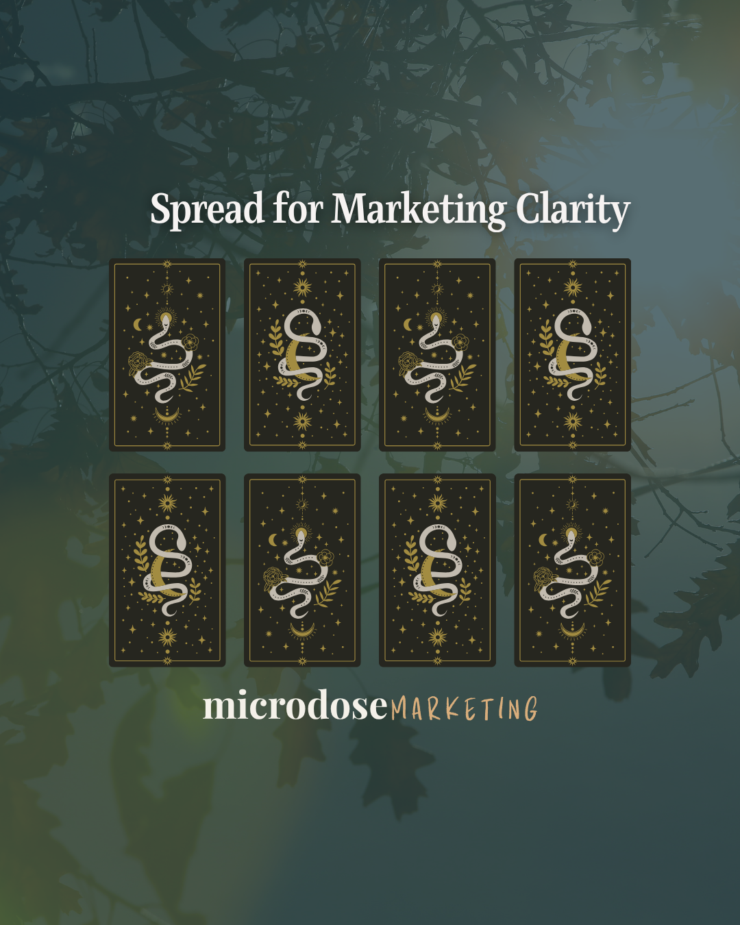 Microdose Carousel Posts - 3.png