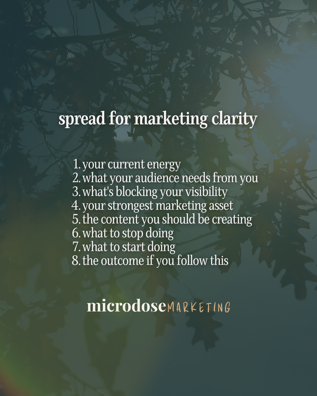 Microdose Carousel Posts - 4.png