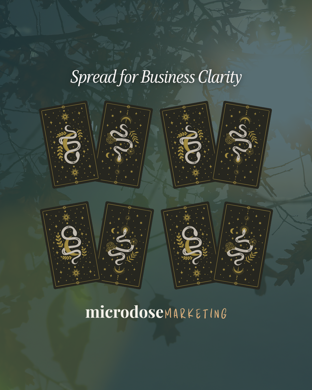 Microdose Carousel Posts - 5.png