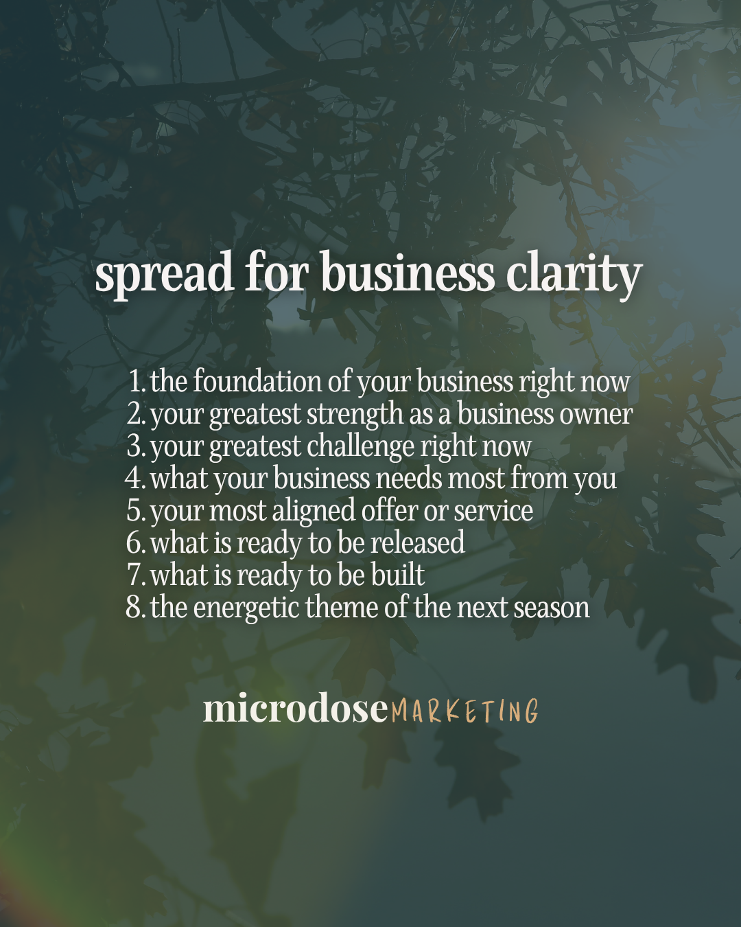 Microdose Carousel Posts - 6.png