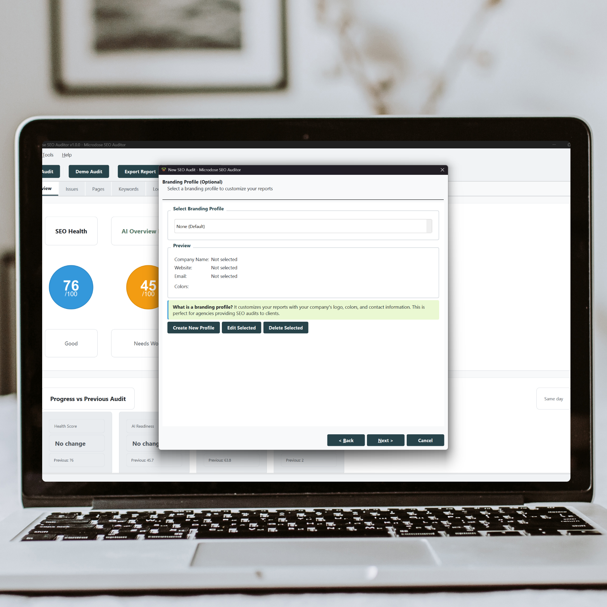 crawl-settings-for seo-audit-4.png