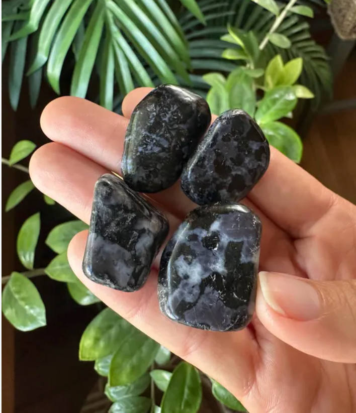 Four polished black stones held in a person's hand, with green houseplants in the background.