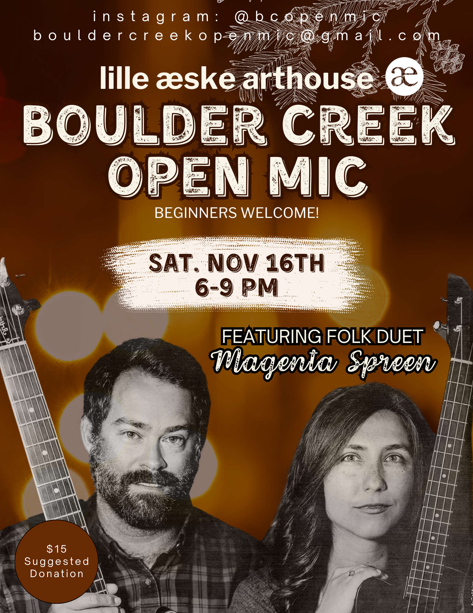 Open Mic Night at Lille Aeske Arthouse