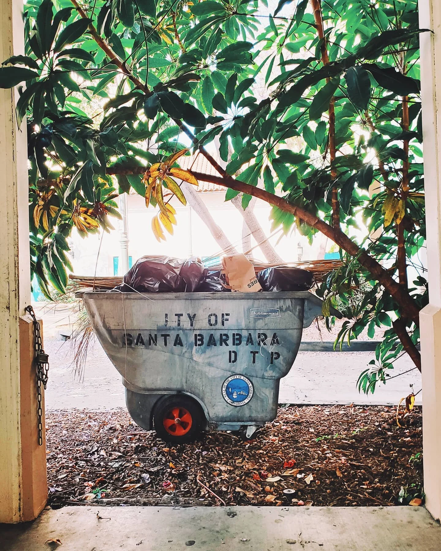 Beautiful Trash 🍉
.
.
.
#eyesopen #littlethings #lilgems