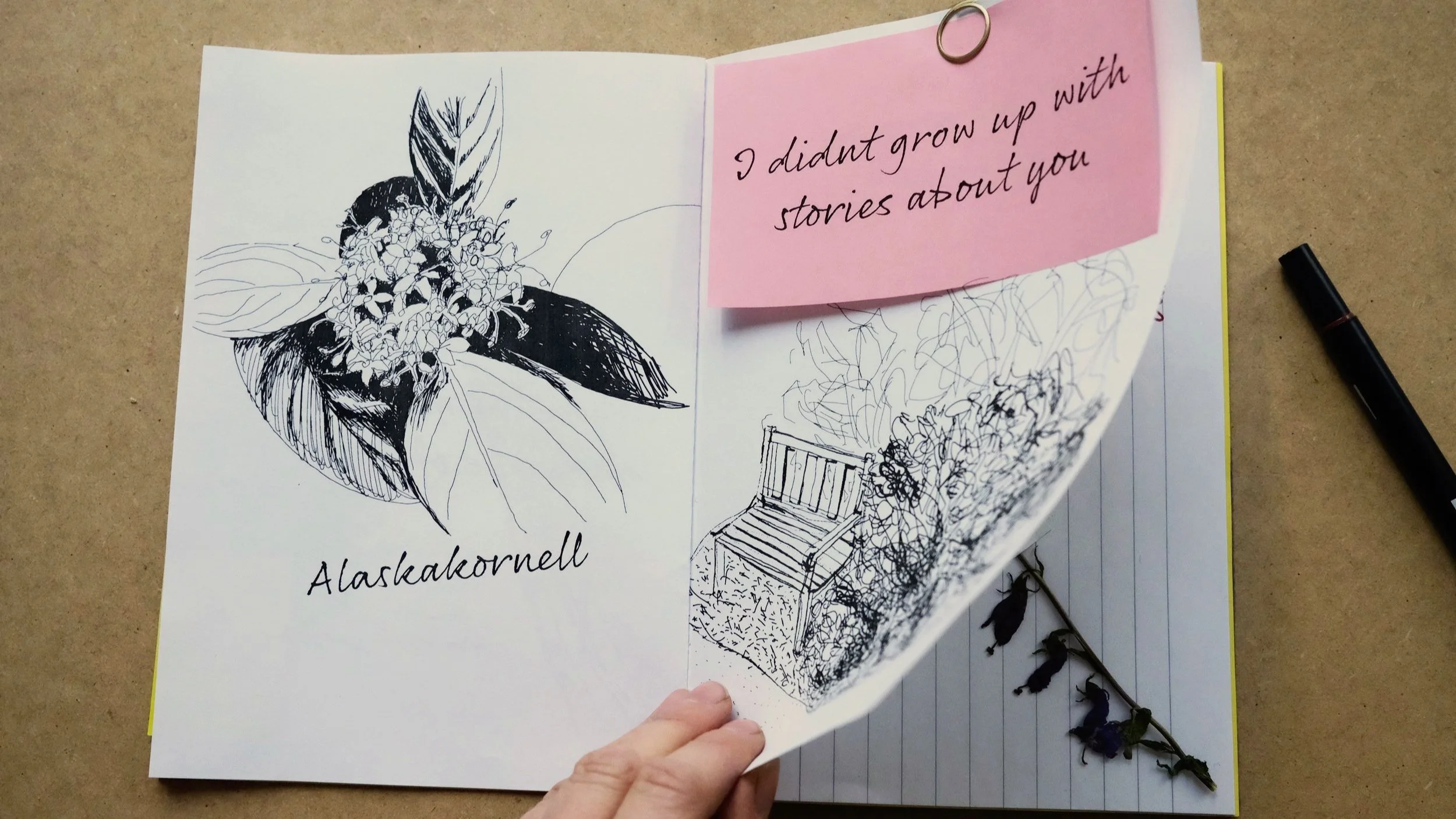 Field notes from an invisible landscape