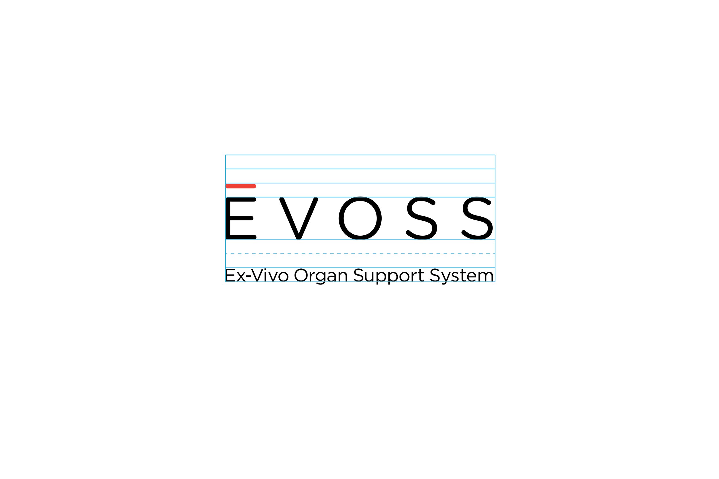 Portfolio-EVOSS_04.jpg
