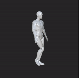 Walking - Loop.gif