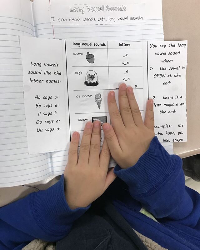 The use of visual cues for the vowel sounds is helpful.  But students usually just remember that &quot;long vowels say their names&quot; and that's easier than keeping track of another set of picture cues.  This long vowels foldable has the auditory 