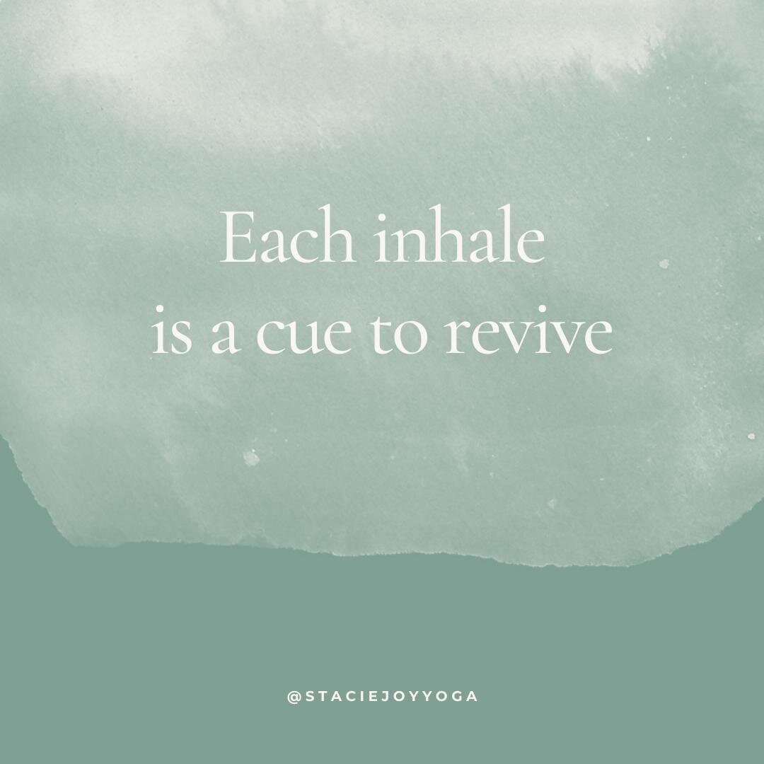 If I can't get out of bed or I'm depressed, I focus on my inhale for about 5 rounds. I'm always surprised how it gives me a small boost of energy...most of the time. 😴☺️⁠
⁠
Your inhale helps cue your nervous system that it's time to get up and go. ⁠