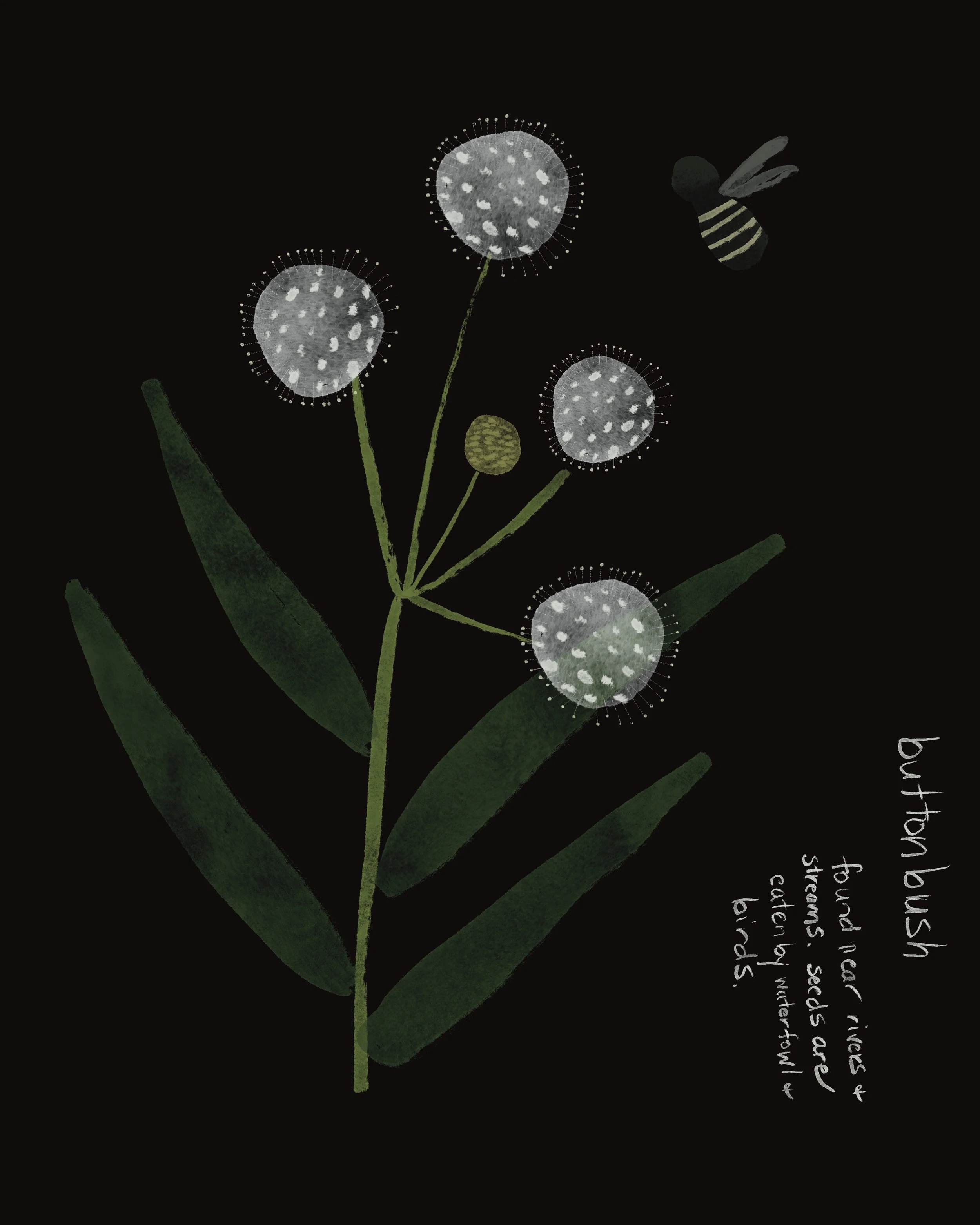 Untitled_Artwork 2.JPG