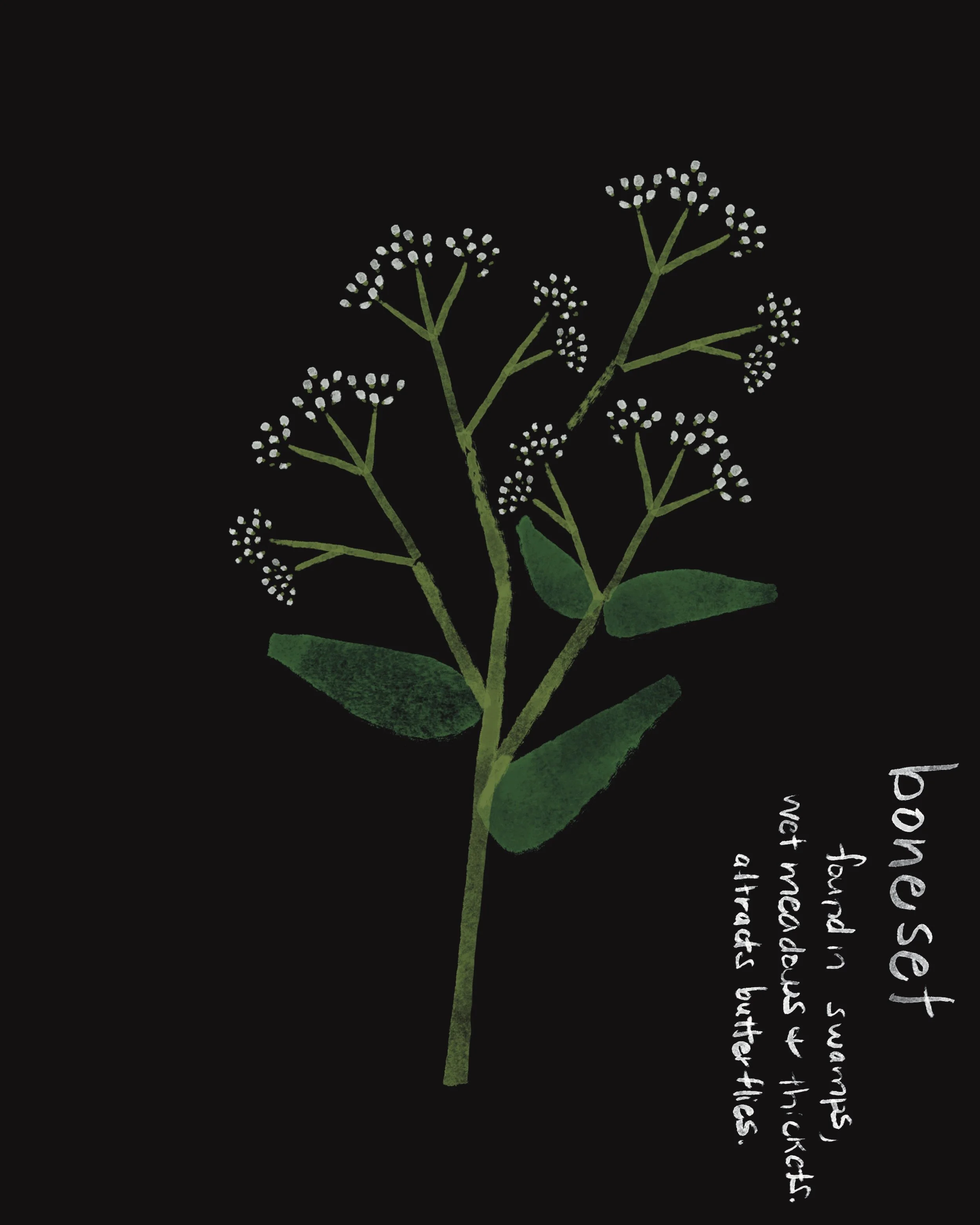 Untitled_Artwork 3.JPG