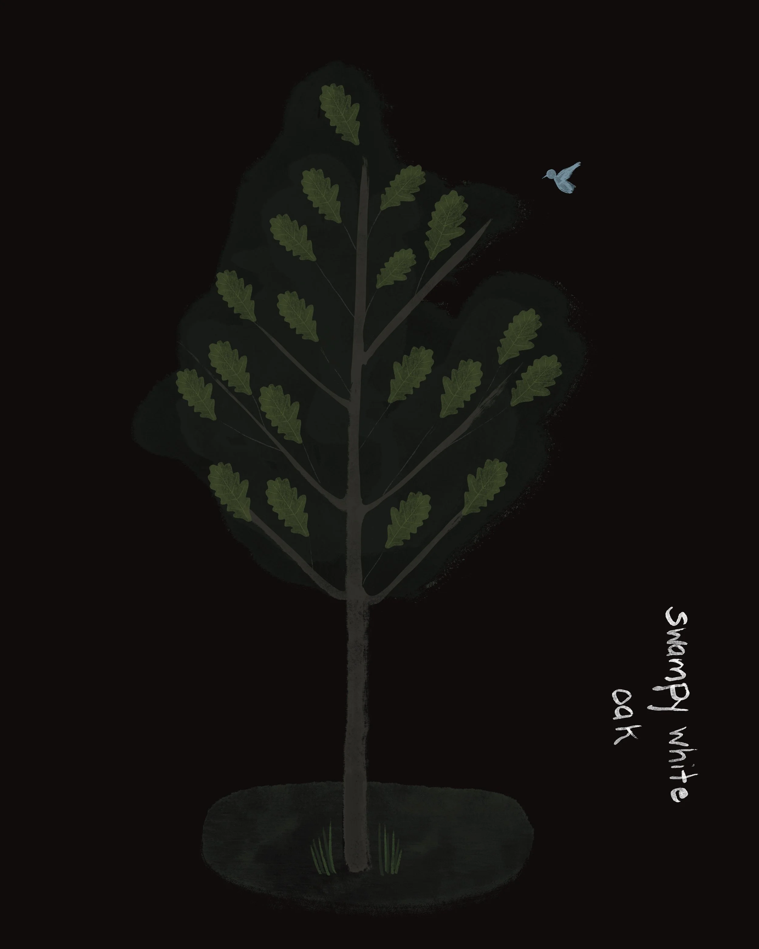 Untitled_Artwork 5.JPG