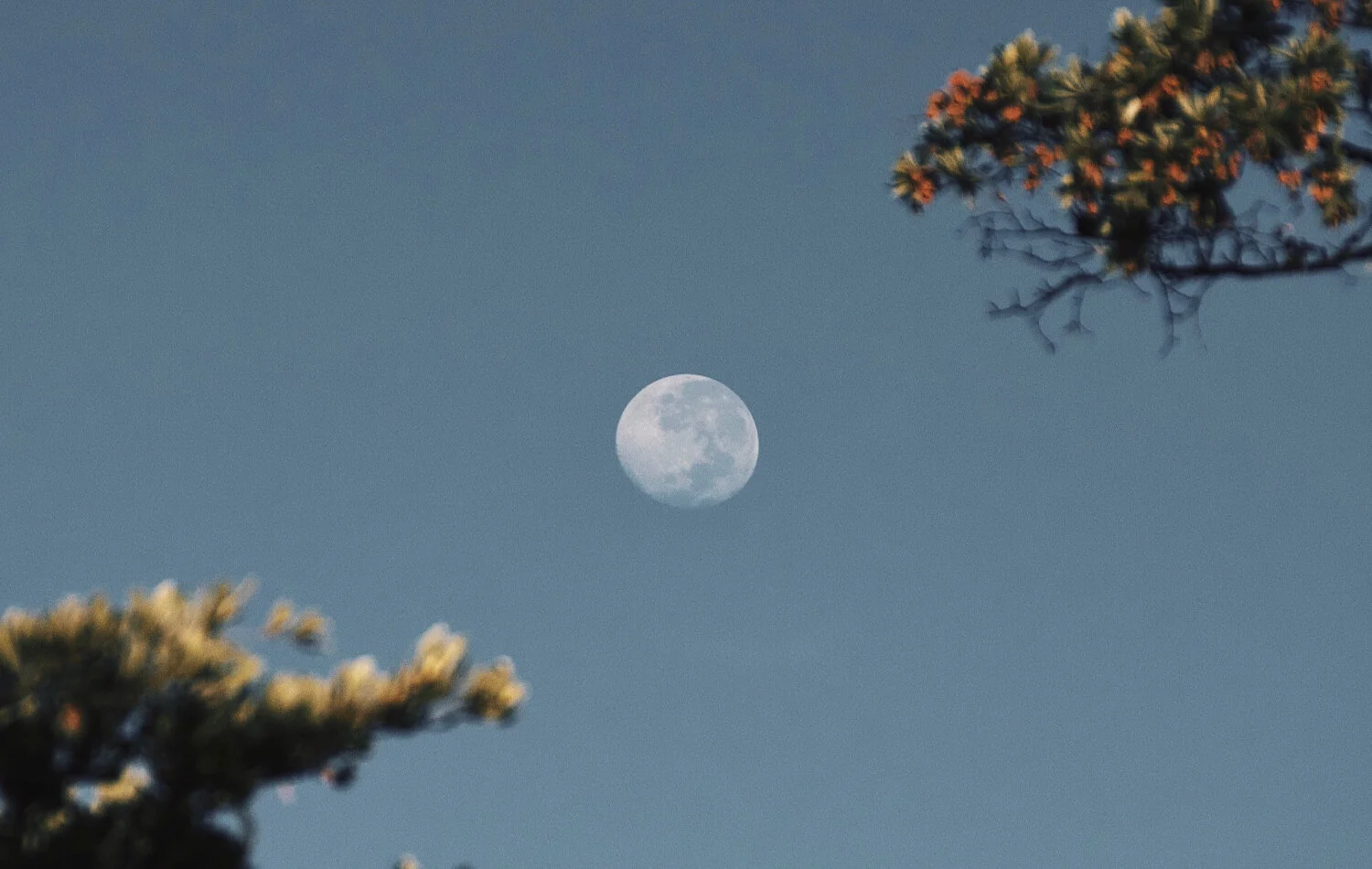 Toward a Life of Balance