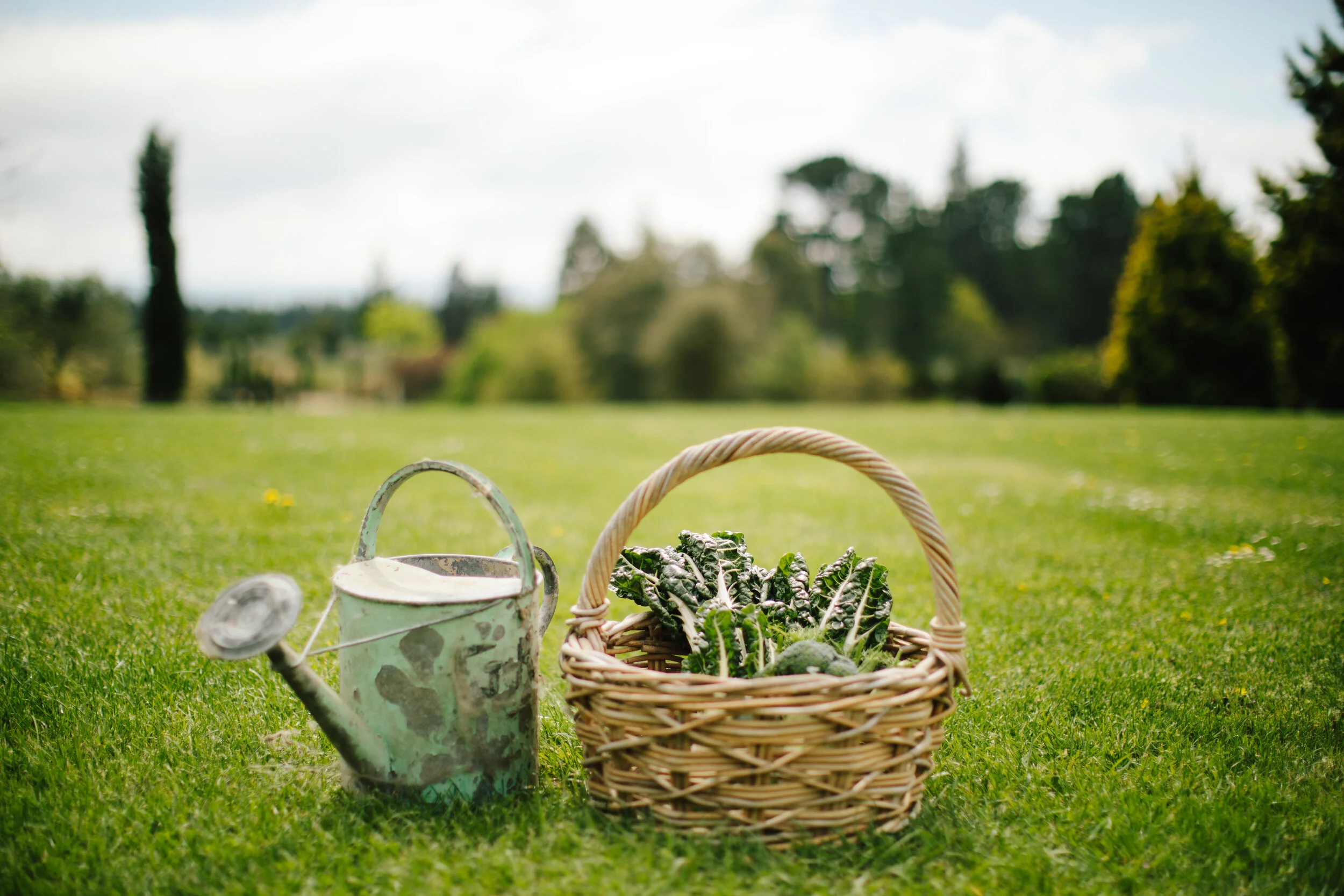 FloraGrow-2 copy.jpg