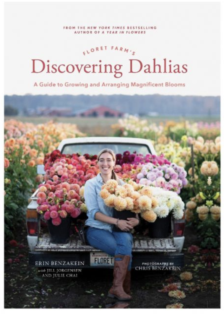 Discovering Dahlias