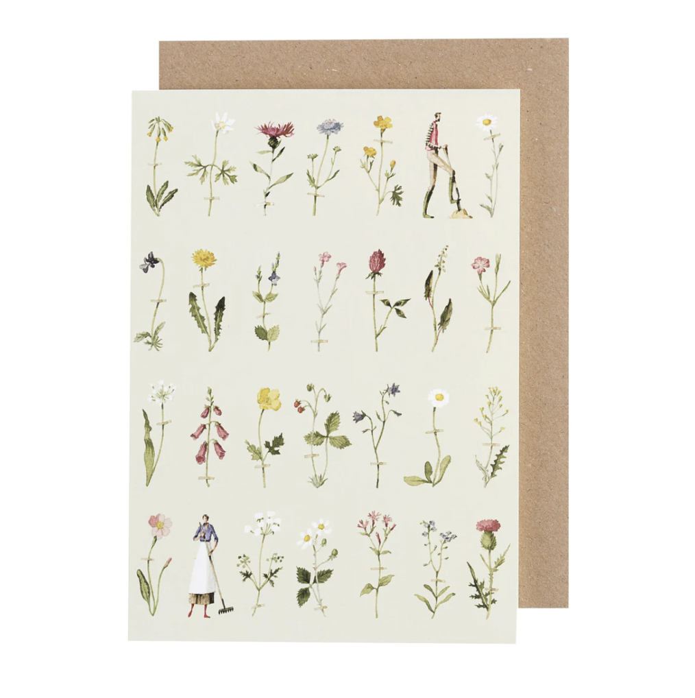 Wild Flower Illustration Card