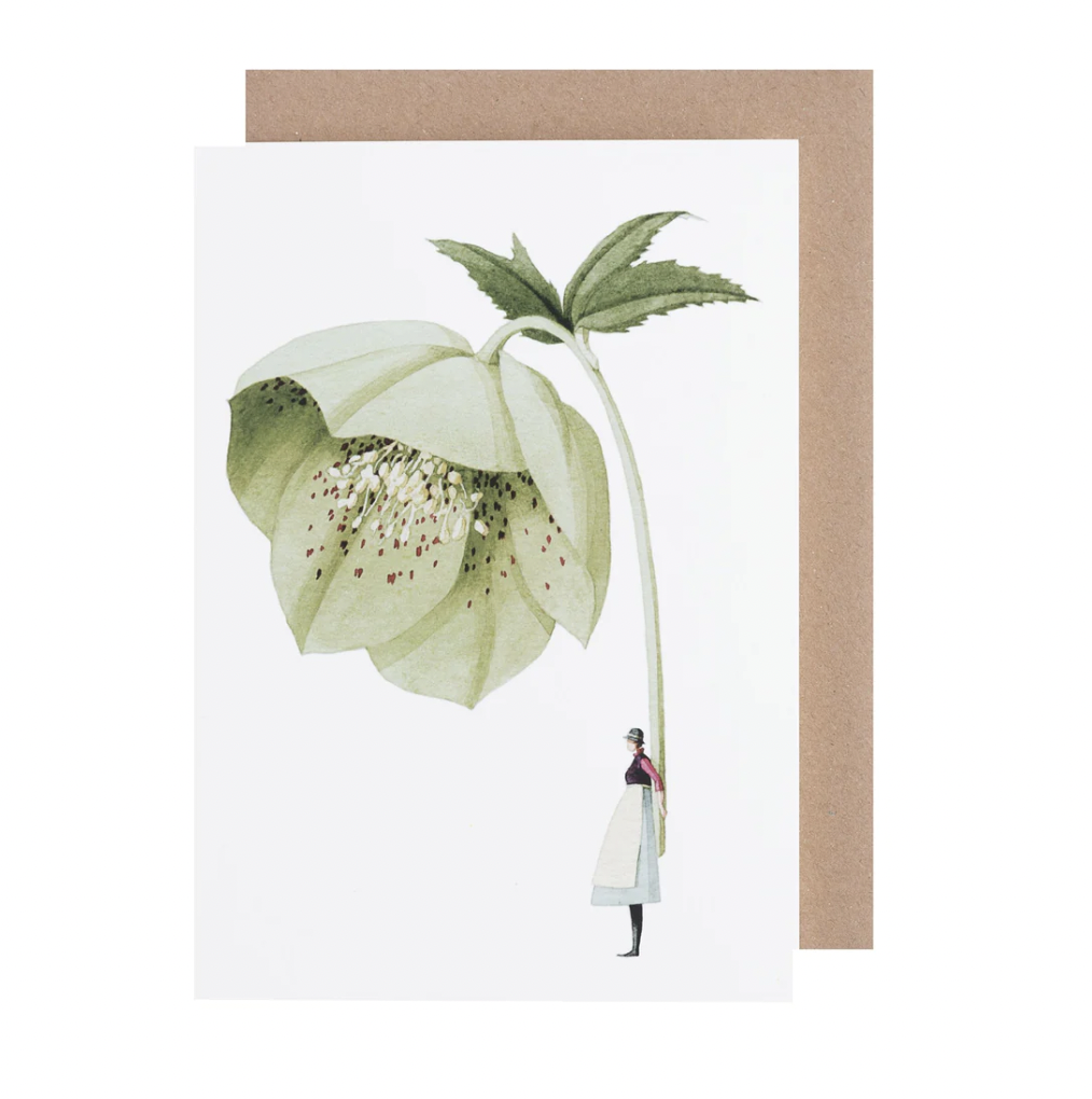 Hellebore Illustration Card