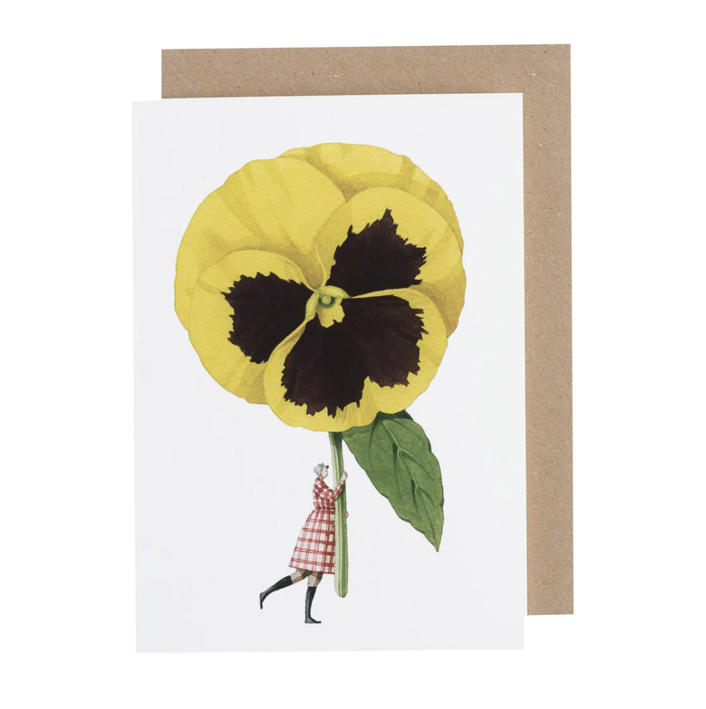 Pansy Illustration Card