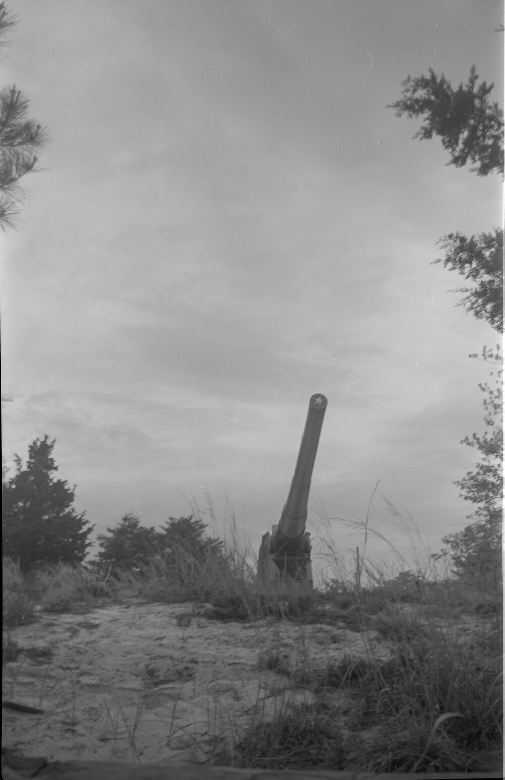 Cape Henlopen, Delaware