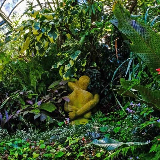 Nature Photography Taranaki | Daniel Mark Photography