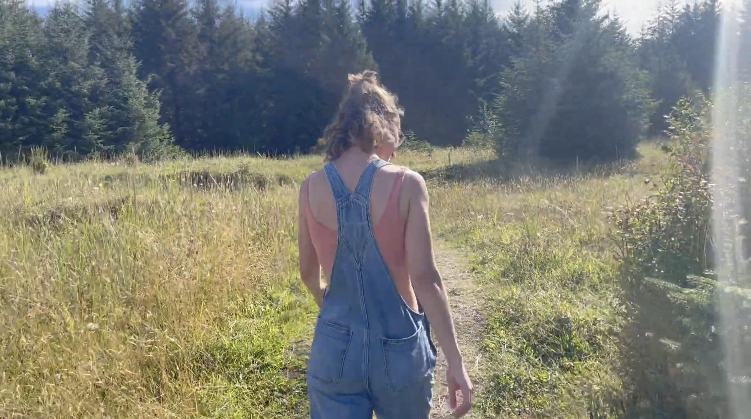 Screenshot 2026-03-03 at 3.41.42 PM.png