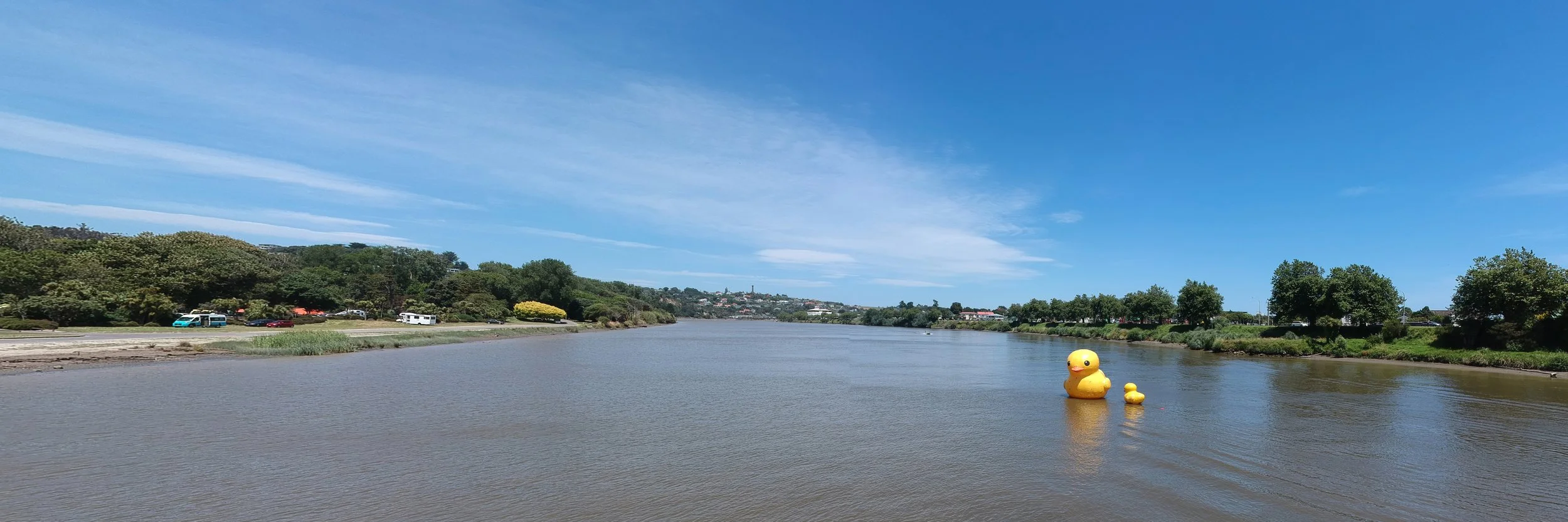 Whanganui River Resized.jpg