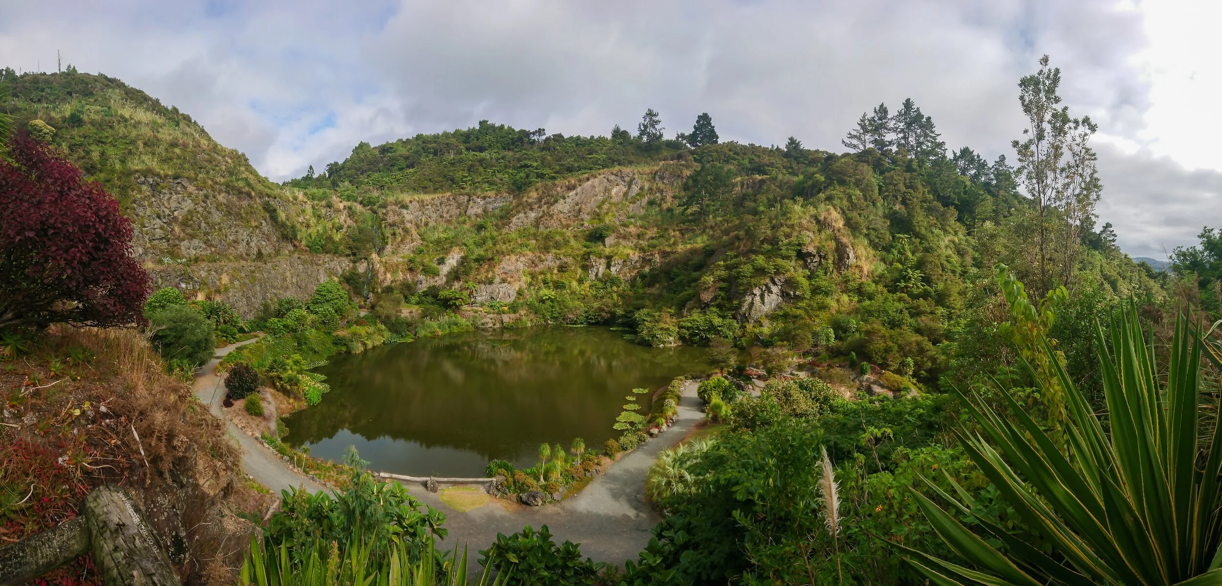 WhangareiQuarryGardens.jpg