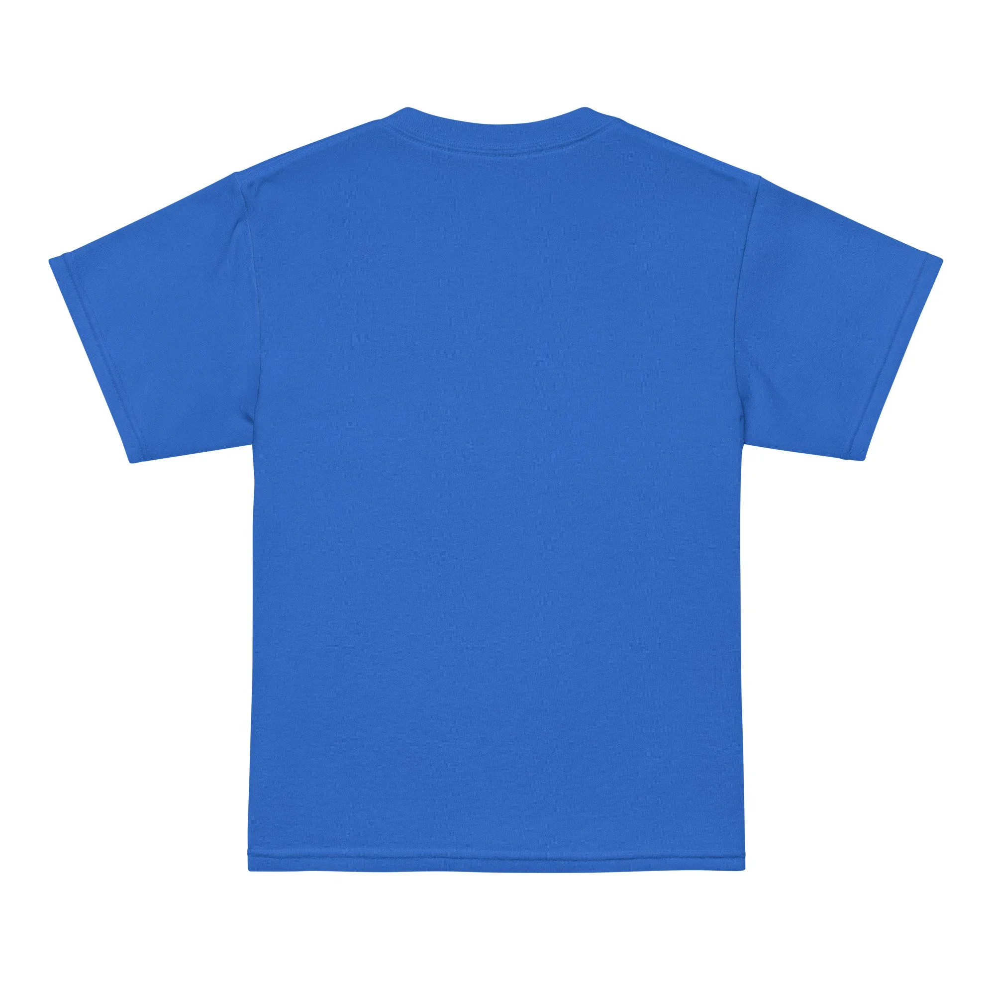 youth-sports-tee-royal-back-68cb1e20ab4aa.jpg