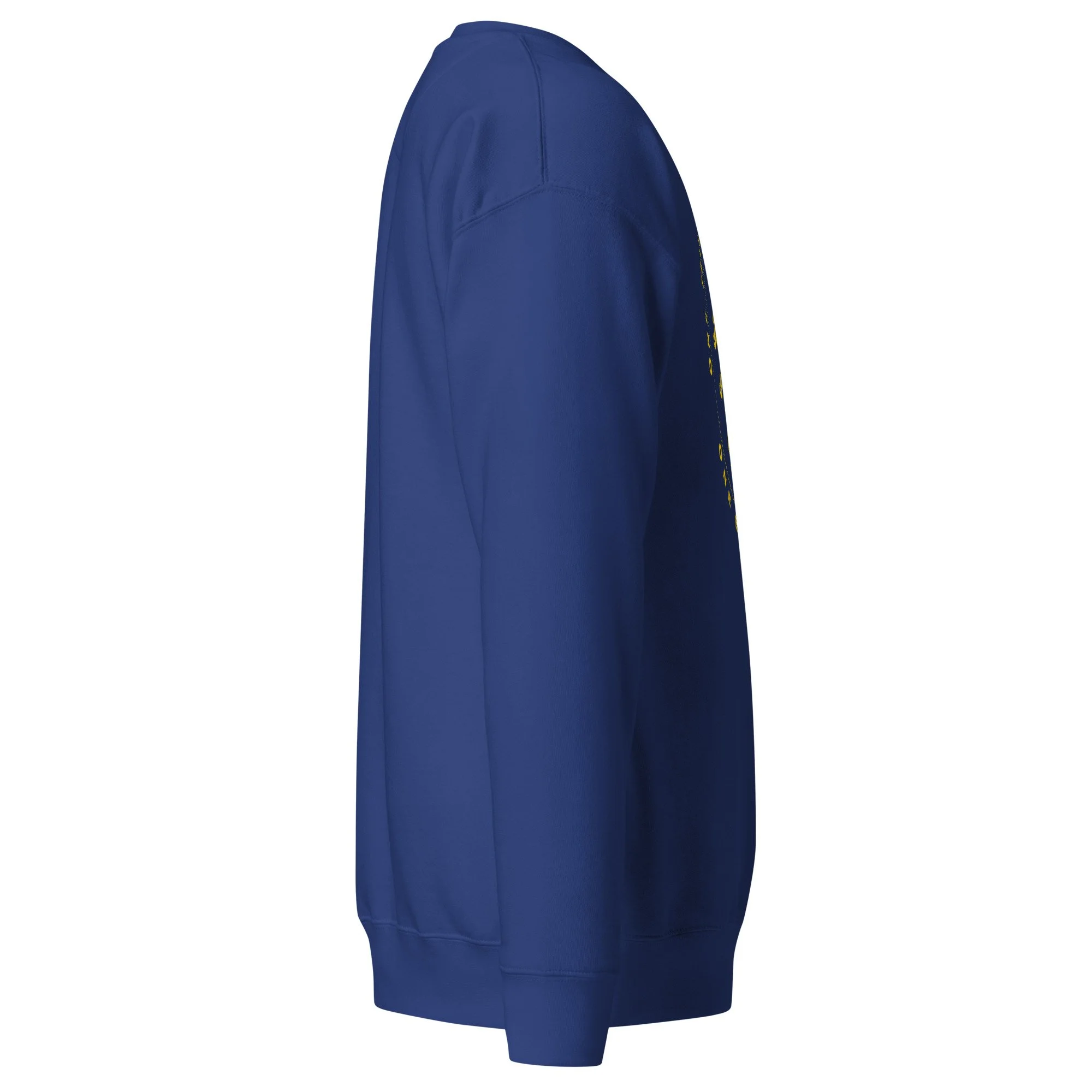 unisex-premium-sweatshirt-team-royal-right-6ae0c87c887fb.jpg