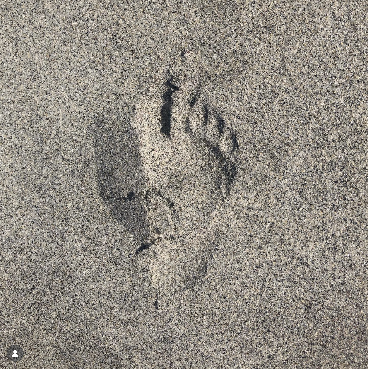 SANDLÅDAN - FiaskoKompaniet