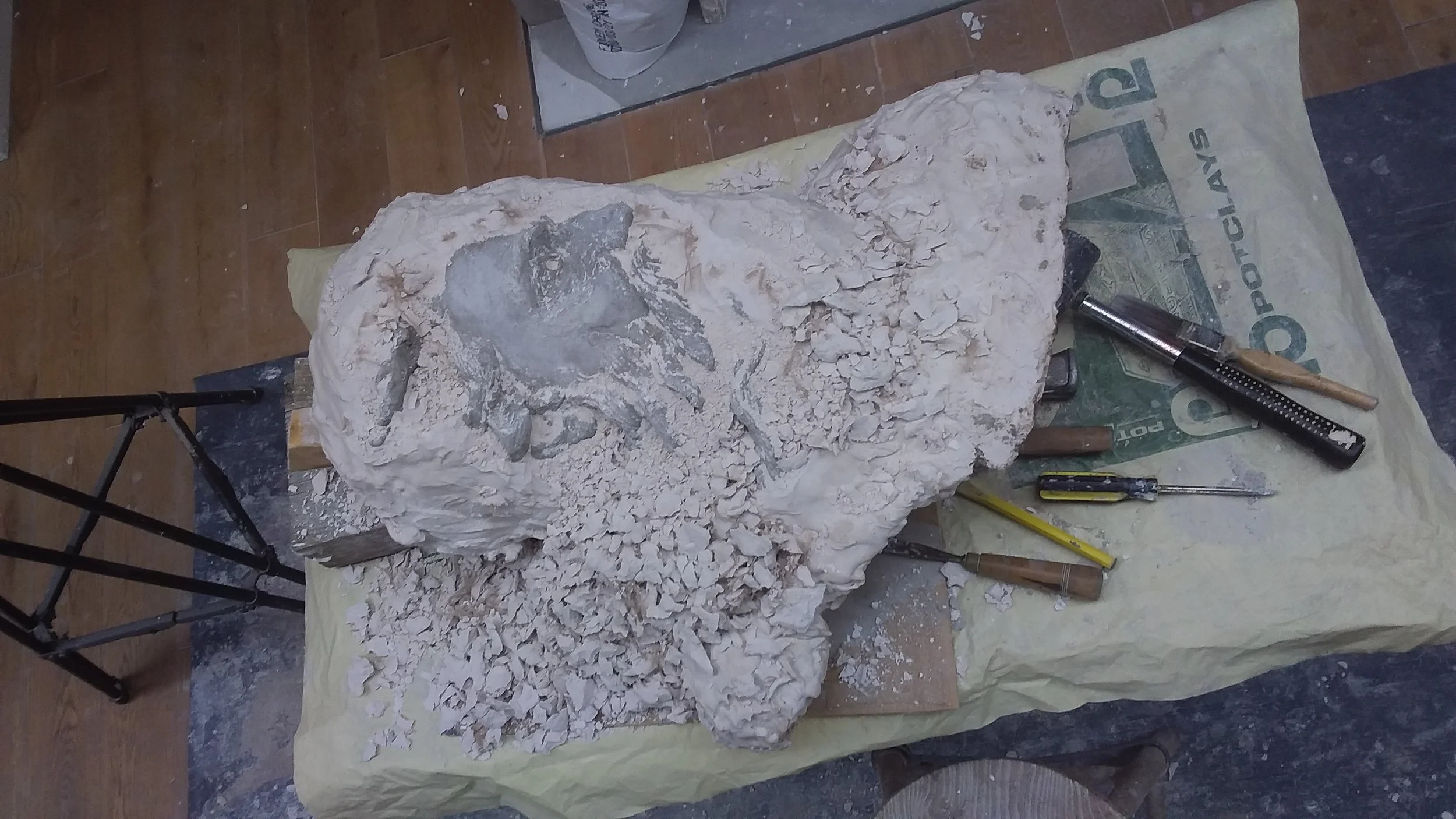 Removing the plaster mold from the cast