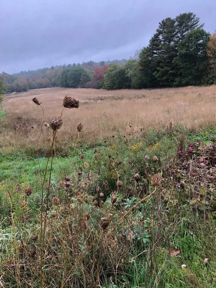 Assessing Your Financial Growth: Reviewing Investments and Savings