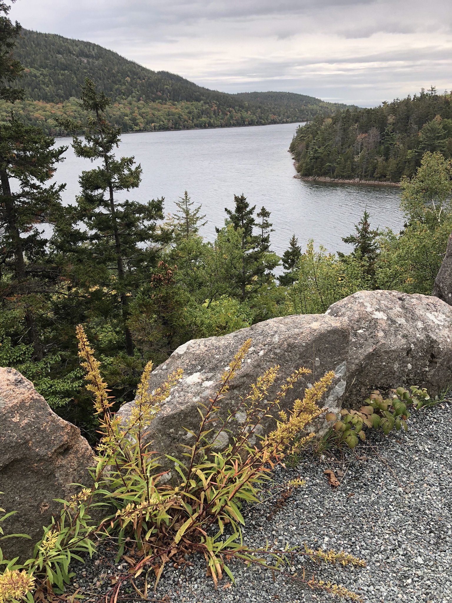 Seasonal Shifts: Adapting Your Financial Plan Like the Seasons