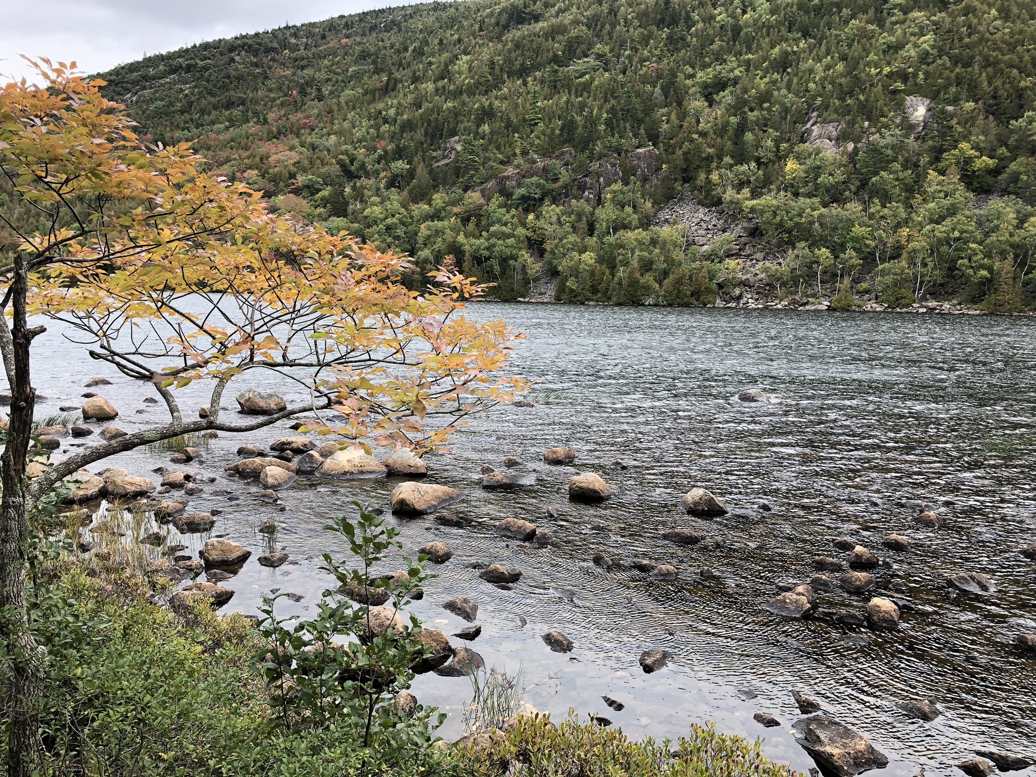 Retirement Planning for Veterans: What You Need to Know